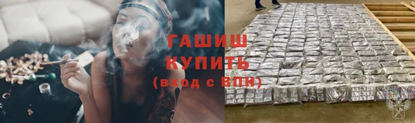 мдпв Богородск