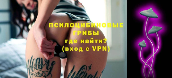 мяу мяу мука Богданович