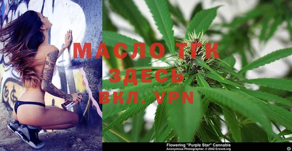 мдпв Богородск