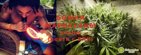 прущие грибы Беломорск
