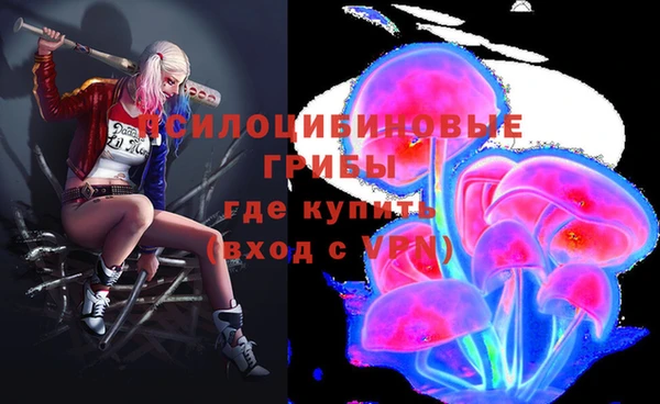 ECSTASY Богородицк