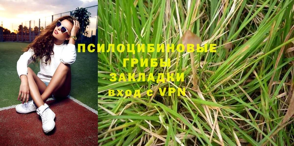 бутират Белокуриха